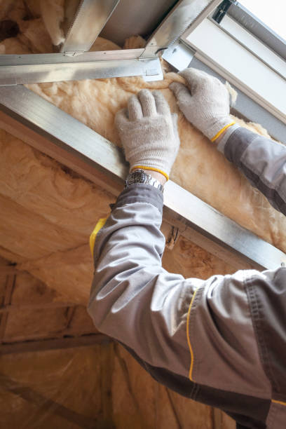 Best Insulation Repair Services  in Edgewater, NJ