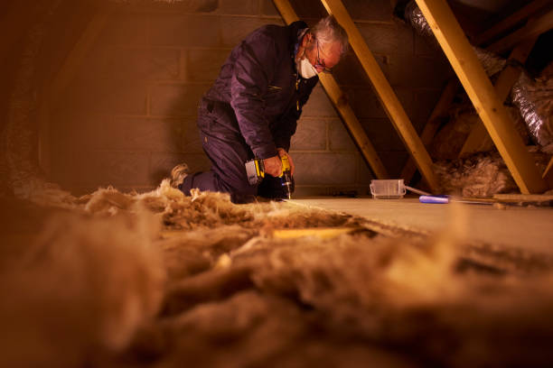 Best Insulation for New Construction  in Edgewater, NJ